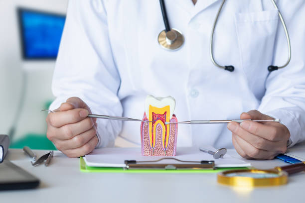 Best Emergency Tooth Extraction in Gerald, MO